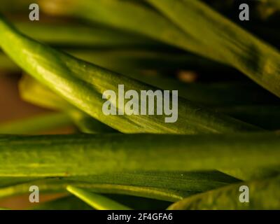 green onion with chives on display Stock Photo