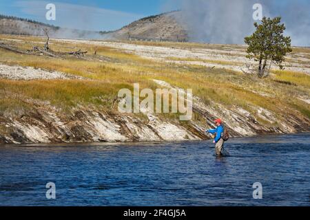 Man fly fishing on the firehole river in yellowston national park Stock Photo