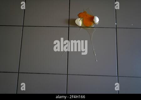 Broken egg on the ground with tiles with copy space. Small parts of the egg shell are spread around. Symbol for a kitchen misfortune. Stock Photo