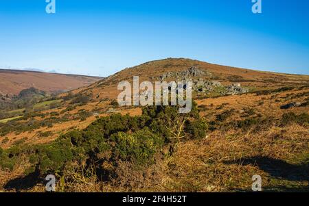 Fields and meadows in Haytor Rocks, Dartmoor Park, Widecombe in the Moor, Devon, England, Europe Stock Photo