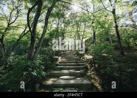 Japanese garden walkway with tree leaves film vintage style Stock Photo