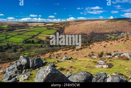 Fields and meadows in Haytor Rocks, Dartmoor Park, Widecombe in the Moor, Devon, England, Europe Stock Photo