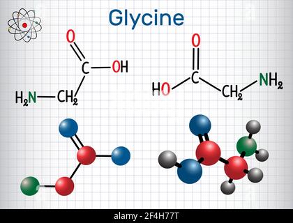 Glycine Gly or G , is the amino acid. Structural chemical formula and molecule model. Sheet of paper in a cage Stock Vector