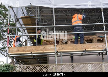 builders working under complete scaffolded roof take off aged roof membrane, England Stock Photo