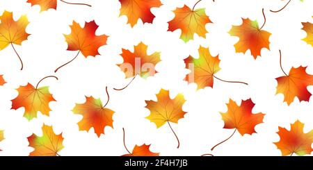 Autumn vector seamless background Stock Vector