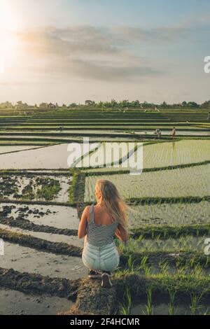 Blond Woman standing in a rice field in Kajsa Stock Photo