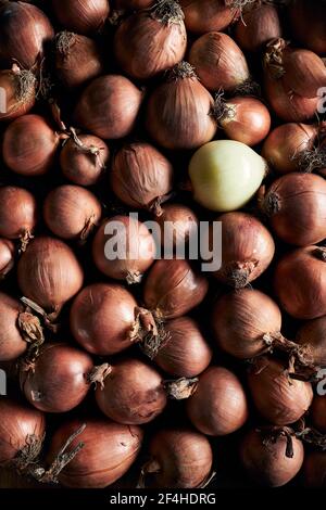 From above of many fresh whole onions with dry peel arranged in pile Stock Photo