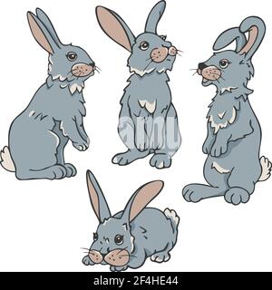 Vector set of four rabbits in different postures. Collection of hares. Stock Vector