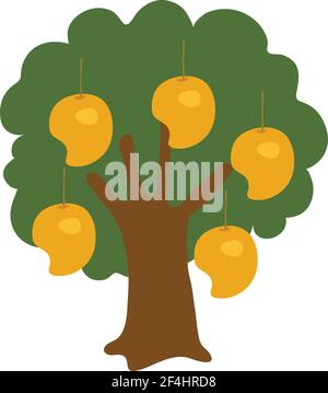 Mango Tree stock illustration vector isolated in white background Stock Vector