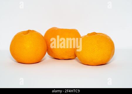 Three Orange coloured oranges/mandarins on a white background Scientific name: Citrus reticulata Stock Photo