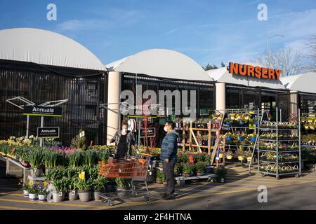 Masked couple choosing plants at the nursery department in the Home Depot in Tigard, Ore., on March 13, 2021, as springtime approaches amid the pandemic. Stock Photo