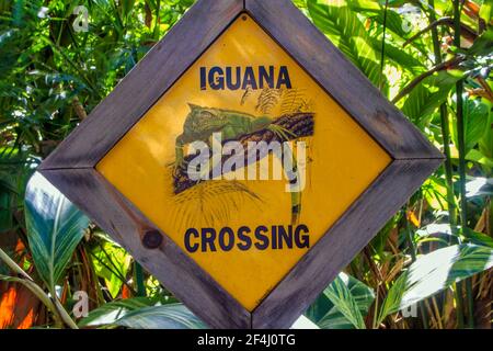Iguana Crossing Sign at the Seminole Tribe of Florida’s Billie Swamp Safari. Stock Photo