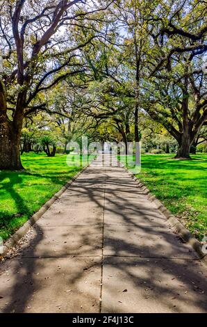 Washington Square features a fountain and numerous live oak trees, March 13, 2021, in Mobile, Alabama. Stock Photo