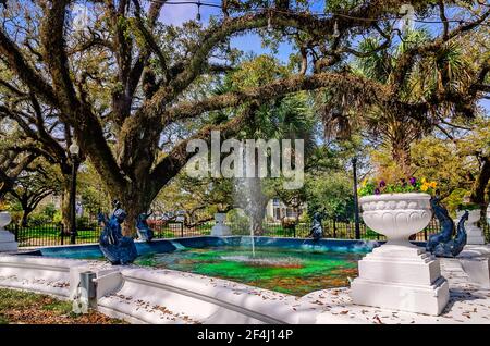 Washington Square features a fountain and numerous live oak trees, March 13, 2021, in Mobile, Alabama. Stock Photo