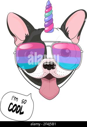 Funny poster. French bulldog with horn colorful and rainbow glasses, with the quote I am cool. Vector illustration unicorn-dog, .isolated on white background Stock Vector
