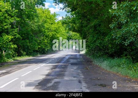 on a wet asphalt road, passing through the forest forming mysterious green arches from the branches, a white minibus is driving into the distance Stock Photo