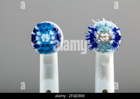 Closeup isolated image of two electric toothbrush heads compared side by side. Macro photo shows a brand new on left and a worn out dirty faded with i Stock Photo