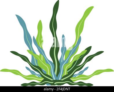 Seaweed logo template vector icon illustration design Stock Vector