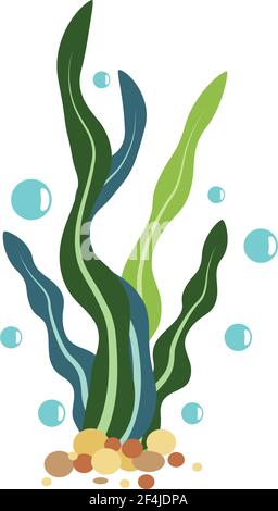 Seaweed logo template vector icon illustration design Stock Vector
