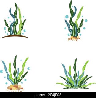 Seaweed logo template vector icon illustration design Stock Vector
