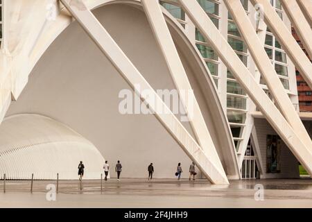 City of Arts and Sciences. Oceanographic, hemispheric, umbracle, palace of the arts, science museum, agora. Valencia. Spain, Europe. Stock Photo