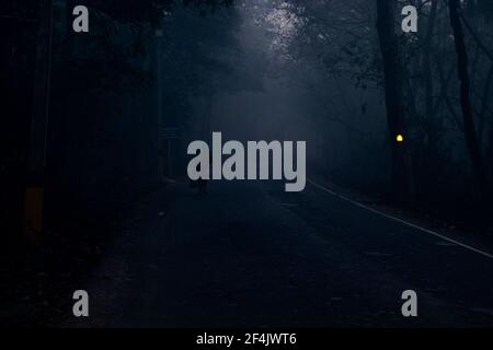 one person walking on road between the forest, scary dark night in forest Stock Photo