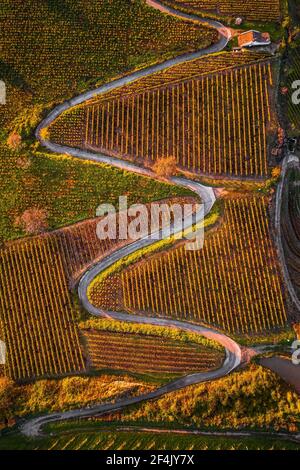 Tokaj, Hungary - Aerial top down view of the world famous Hungarian vineyards of Tokaj wine region on a warm autumn morning Stock Photo