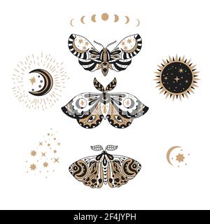 Design butterfly nature isolated insect vector art. Spring boho bohemian moth set. Celestial collection. Stock Vector