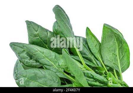 Pile of fresh green baby spinach leaves isolated on white background. Border. Top view. Copyspace Stock Photo