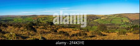 Fields and meadows in Haytor Rocks, Dartmoor Park, Widecombe in the Moor, Devon, England, Europe Stock Photo