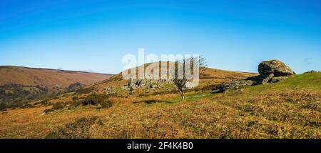 Fields and meadows in Haytor Rocks, Dartmoor Park, Widecombe in the Moor, Devon, England, Europe Stock Photo