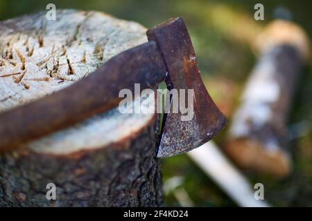 a close up of rustic old axe on a tree stump Stock Photo