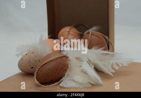 Brown easter eggs with feathers with a cardboard box on a table Stock Photo