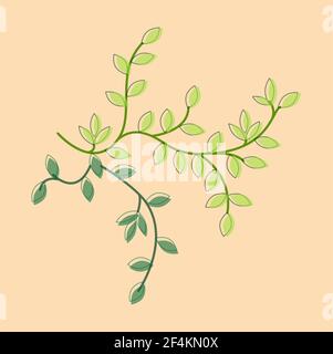 Vector illustration twig with leaves. Patten with green leaf. Stock Vector