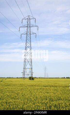 electrical power distribution pylons across farmland in Lincolnshire Stock Photo