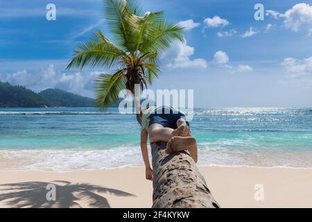 Coco palm over tropical sunny beach and cute young man relaxing on a palm tree in Caribbean island