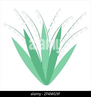 Lilies of the valley. White wild forest flowers. Cute little bells. Valley of Flowers. Vector, bouquet. Stock Vector