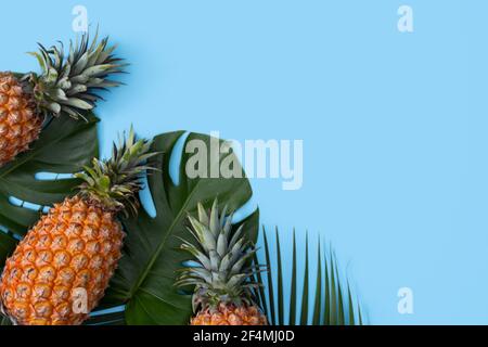 Top view of fresh pineapple with tropical palm and monstera leaves on blue table background. Stock Photo