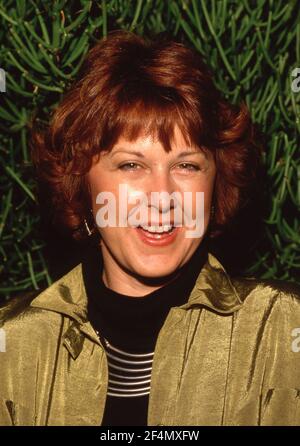 Susan Ruttan Circa 1989 Credit: Ralph Dominguez/MediaPunch Stock Photo