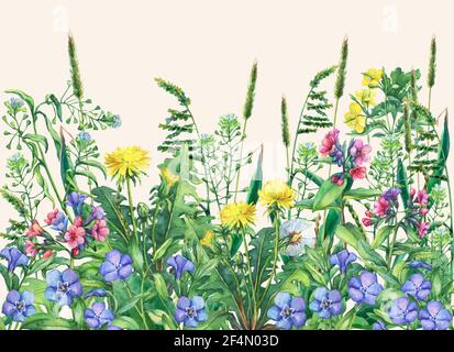 Panoramic view of wild meadow flowers and grass. Horizontal border with field flowers and herbs. Watercolor illustration isolated on yellow background Stock Photo