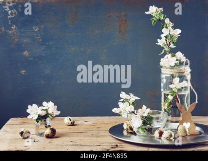 Apple blossom flowers, quail eggs on a wooden table. Spring still life. Stock Photo