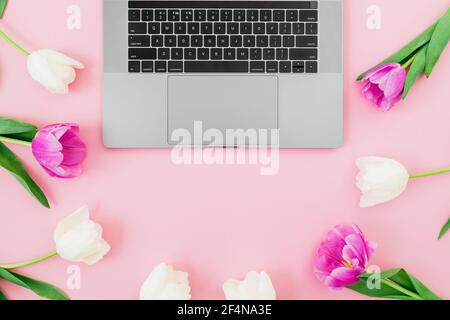 Laptop and tulips flowers on pink background. Flat lay. Top view. Distant work concept. Stock Photo