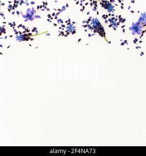 Frame with blue flowers and petals on white background. Flat lay, top view. Stock Photo