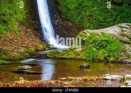 Whitelady or White Lady Waterfall at Lydford Gorge in Devon England UK the highest waterfall in the south west of England flowing from the River Burn. Stock Photo