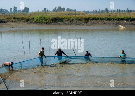 Moirang, India - December 2020: A group of men fishing on Lake Loktak in Moirang on December 29, 2020 in Manipur, India. Stock Photo