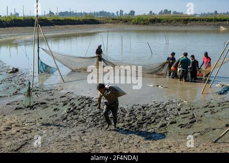 Moirang, India - December 2020: A group of men fishing on Lake Loktak in Moirang on December 29, 2020 in Manipur, India. Stock Photo