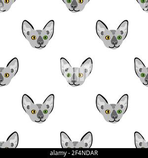 Seamless pattern with sphynx cat head. Funny animal with different eyes. Vector illustration. Stock Vector