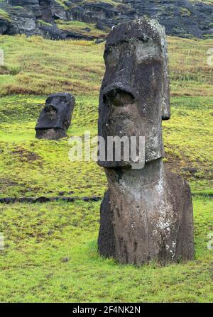 Moais at Ranu Raraku, Easter Island, Rapa Nui. Stock Photo