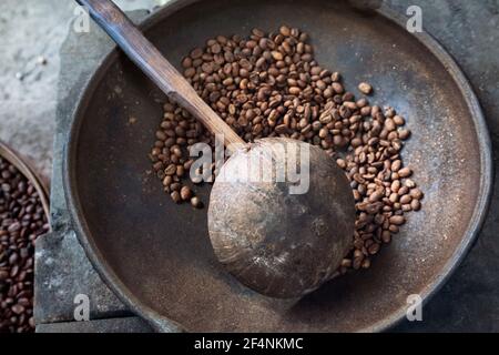 Roasted coffee beans at coffee Luwak farm, Bali, Indonesia Stock Photo