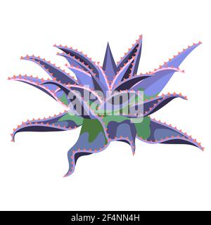 Illustration of cactus. Decorative spiky mexican cacti. Stock Vector